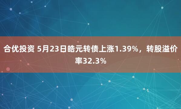 合优投资 5月23日皓元转债上涨1.39%，转股溢价率32.3%
