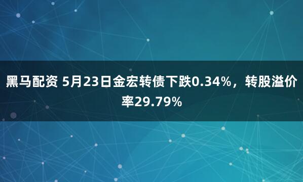 黑马配资 5月23日金宏转债下跌0.34%，转股溢价率29.79%