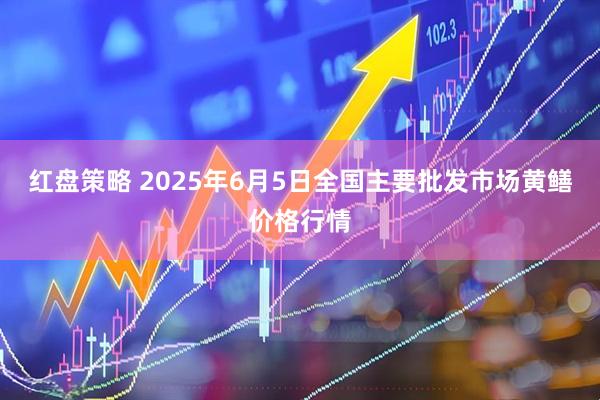 红盘策略 2025年6月5日全国主要批发市场黄鳝价格行情