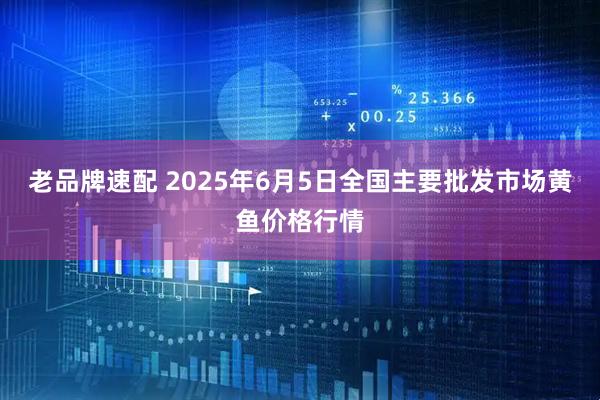 老品牌速配 2025年6月5日全国主要批发市场黄鱼价格行情
