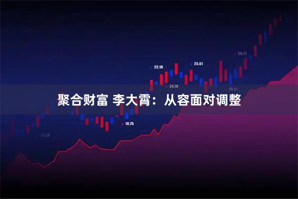 聚合财富 李大霄：从容面对调整